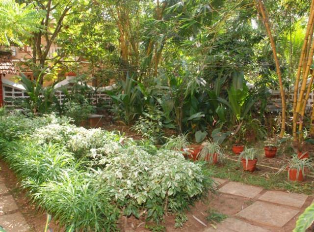 Pinto Guest House Candolim Extérieur photo